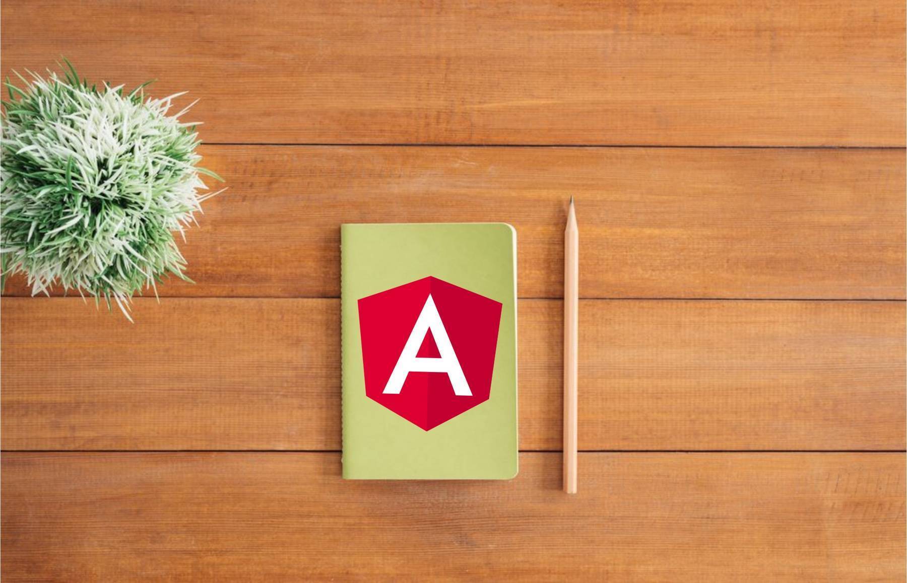 How I Set Up A New Angular Project Image